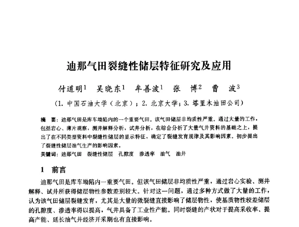 迪那气田裂缝性储层特征研究及应用 - 2008年油气藏增产改造学术研讨会