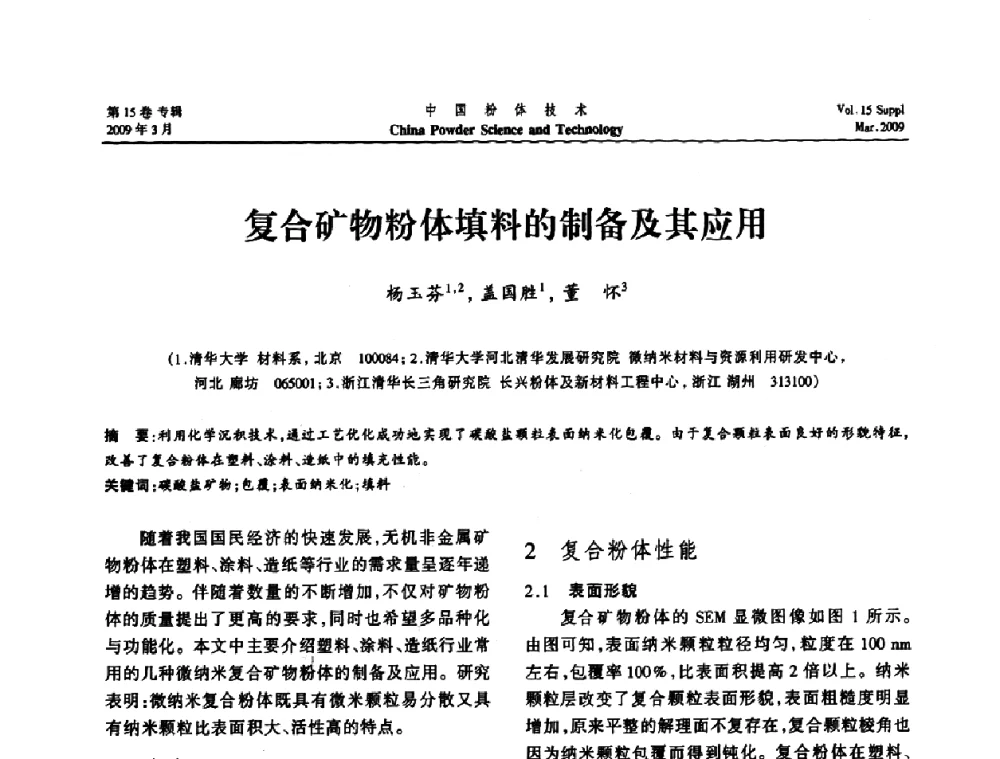 复合矿物粉体填料的制备及其应用 - 2009国际粉体技术与应用论坛