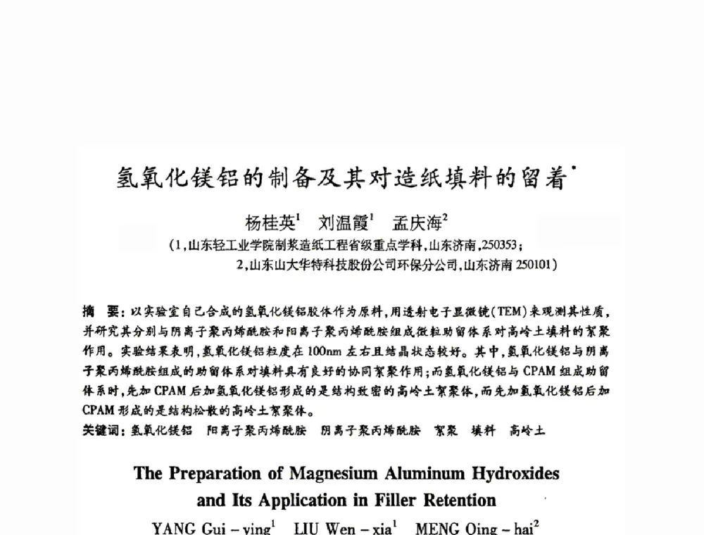 氢氧化镁铝的制备及其对造纸填料的留着 - 2008（第十五届）全国造纸化学品开发应用技术研讨会