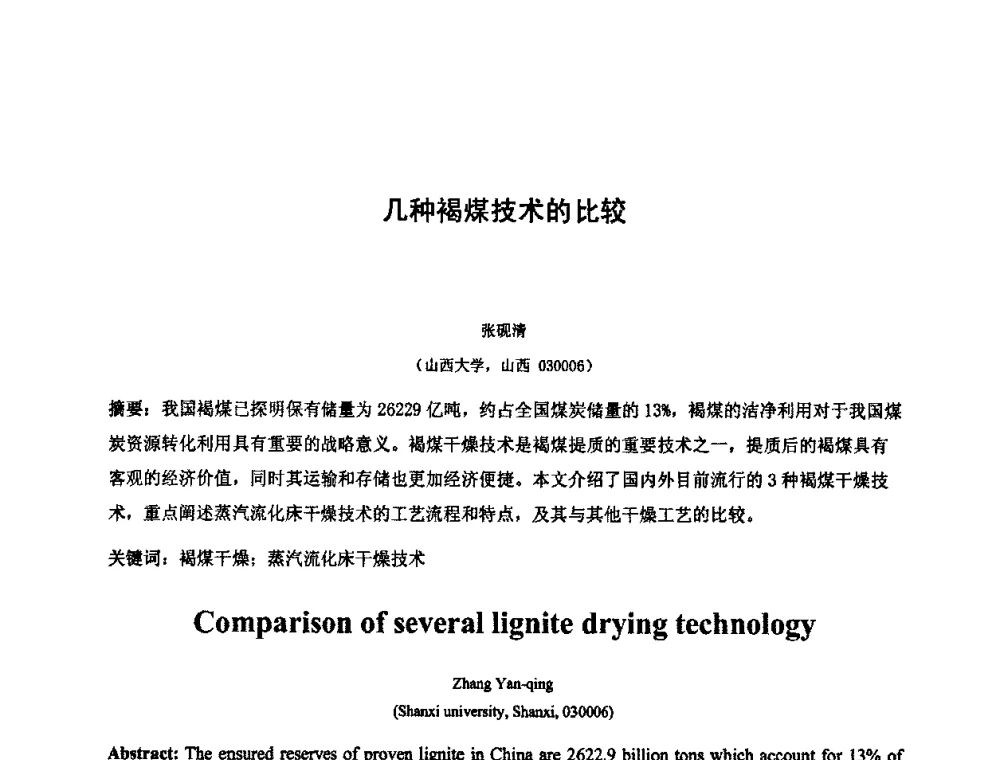 几种褐煤技术的比较 - 2010中国国际煤化工发展论坛