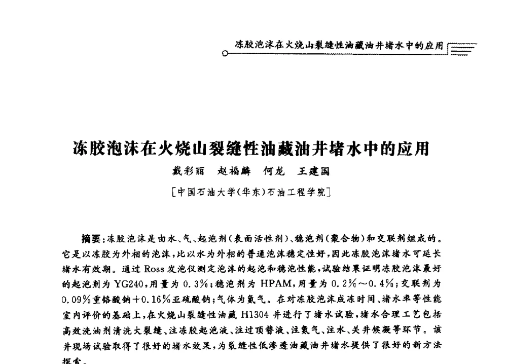 冻胶泡沫在火烧山裂缝性油藏油井堵水中的应用 - 泡沫流体提高油气开采效率技术研讨会