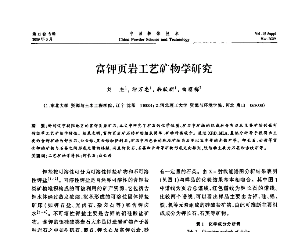 富钾页岩工艺矿物学研究 - 2009国际粉体技术与应用论坛