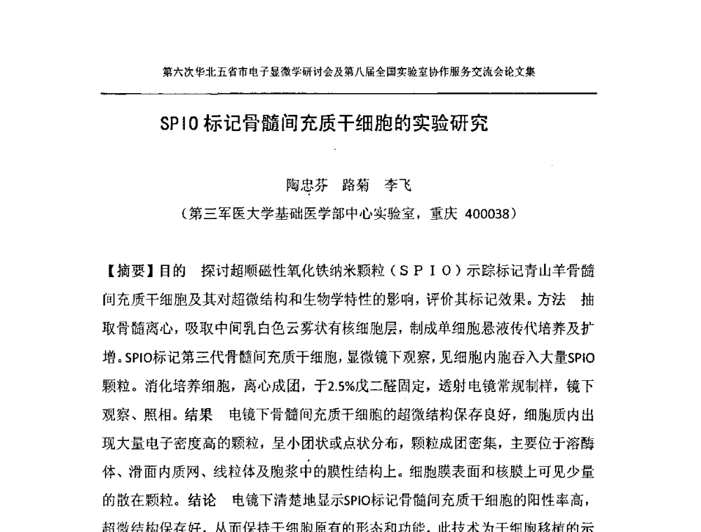 SPIO标记骨髓间充质干细胞的实验研究 - 第六次华北五省市电子显微学研讨会及第八届全国实验室协作服务交流会