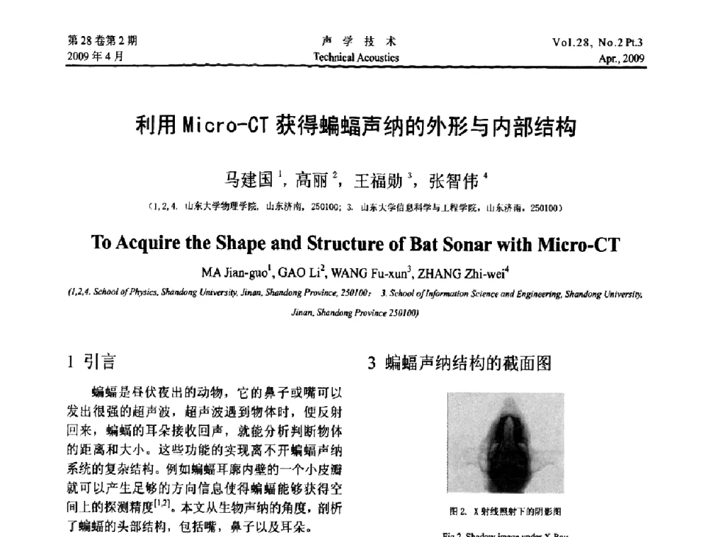 利用Mico-CT获得蝙蝠声纳的外形与内部结构 - 2009年度全国物理声学会议
