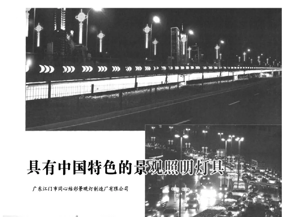 具有中国特色的景观照明灯具 - 2010中国道路照明论坛