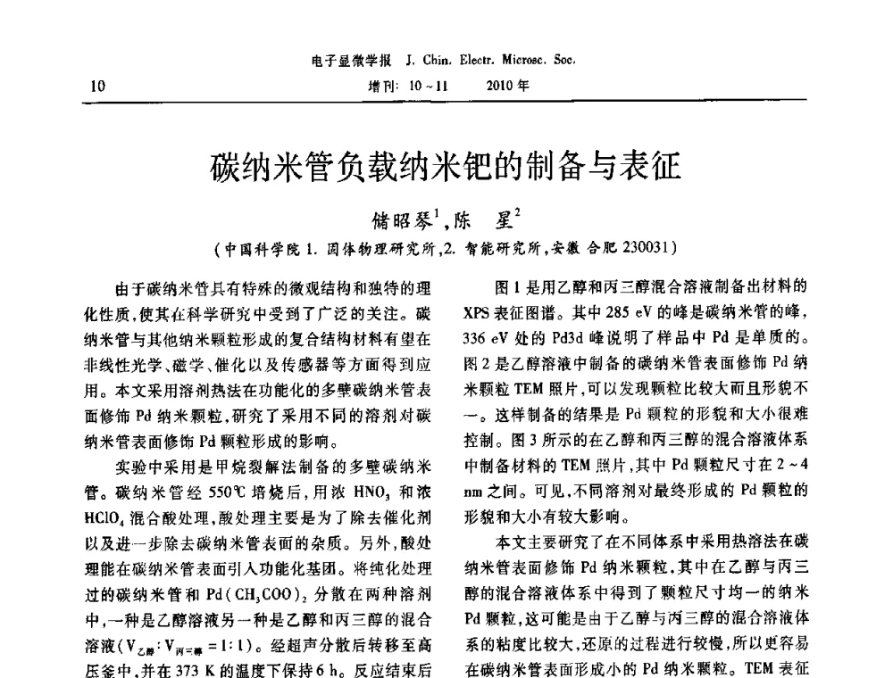 碳纳米管负载纳米钯的制备与表征 - 2010年全国电子显微学会议暨第八届海峡两岸电子显微学研讨会
