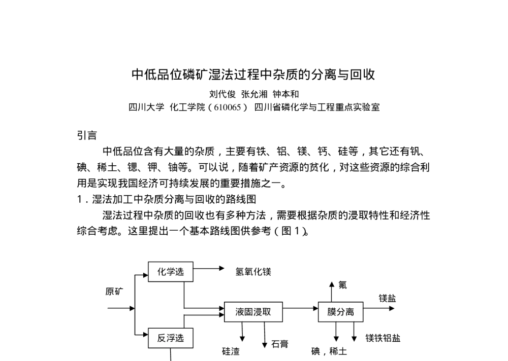 中低品位磷矿湿法过程中杂质的分离与回收 - 2010(六国化工)国际精细磷化工技术交流大会