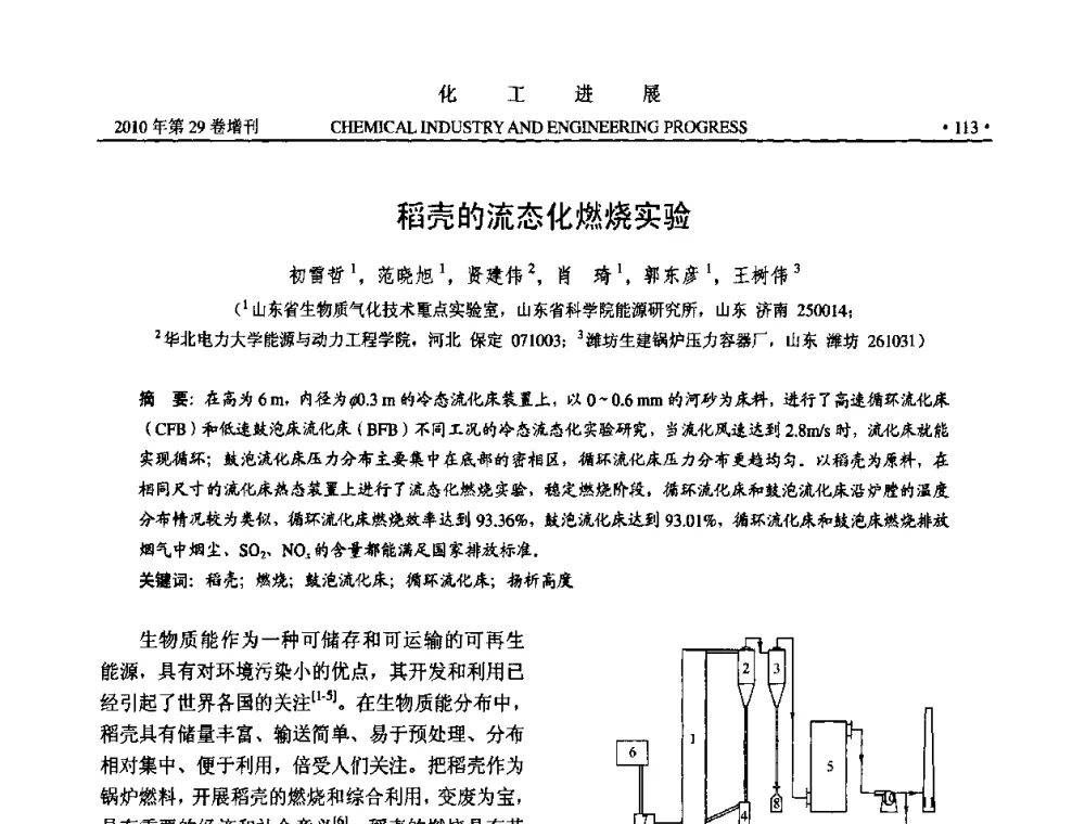 稻壳的流态化燃烧实验 - 中国化工学会2010年年会暨第二届石油补充与替代能源开发利用技术论坛