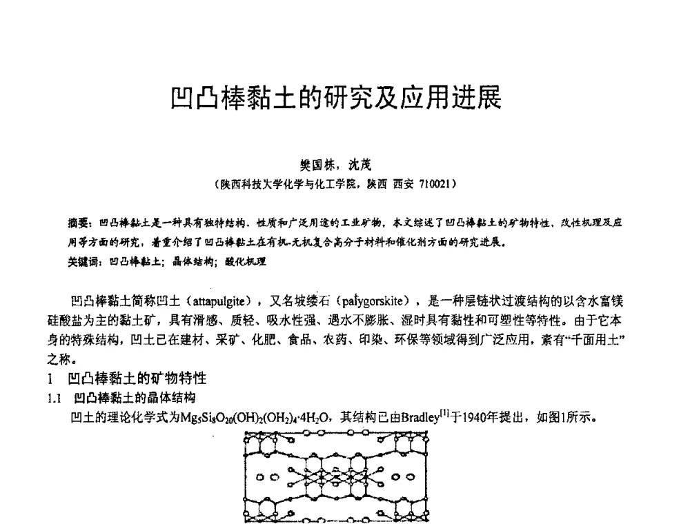 凹凸棒黏土的研究及应用进展 - 第五届中国白色工业矿物技术与市场交流大会