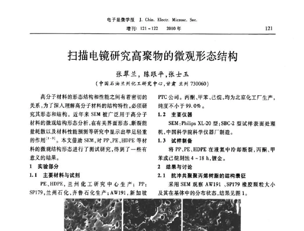 扫描电镜研究高聚物的微观形态结构 - 2010年全国电子显微学会议暨第八届海峡两岸电子显微学研讨会