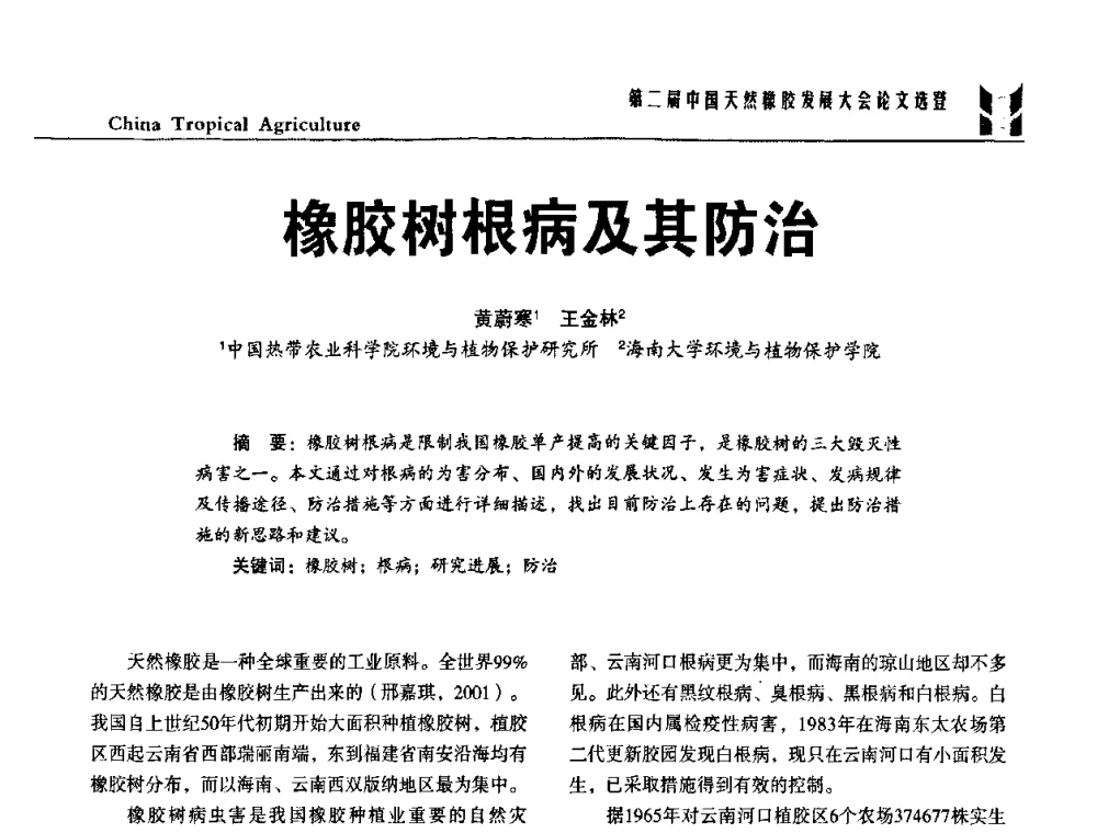 橡胶树根病及其防治 - 第二届中国天然橡胶发展大会