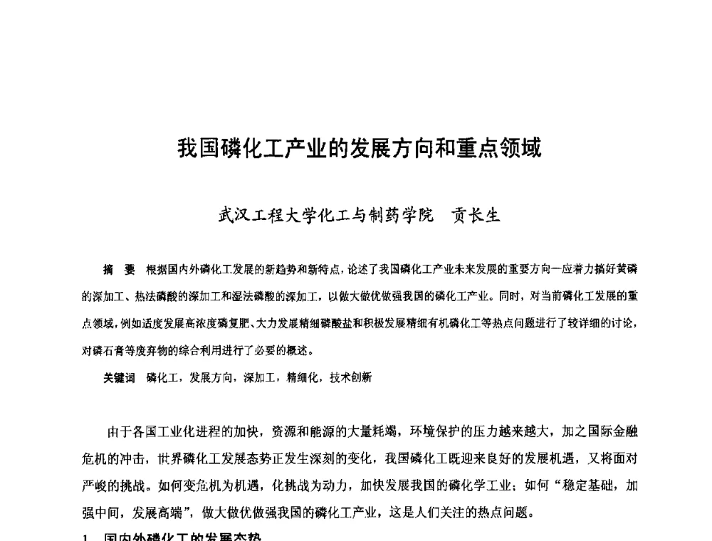 我国磷化工产业的发展方向和重点领域 - 第三届中国国际磷化工高峰论坛暨行业年会
