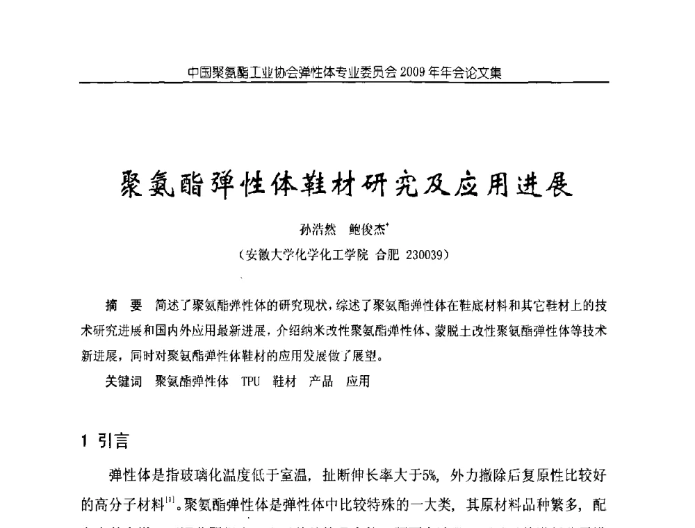 聚氨酯弹性体鞋材研究及应用进展 - 中国聚氨酯工业协会弹性体专业委员会2009年年会