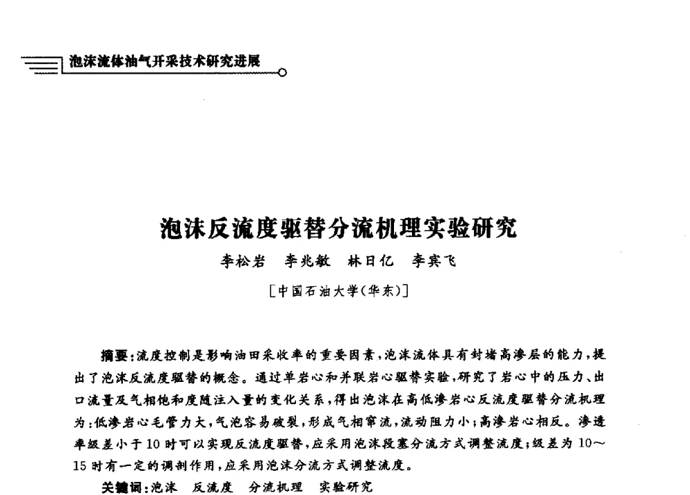 泡沫反流度驱替分流机理实验研究 - 泡沫流体提高油气开采效率技术研讨会