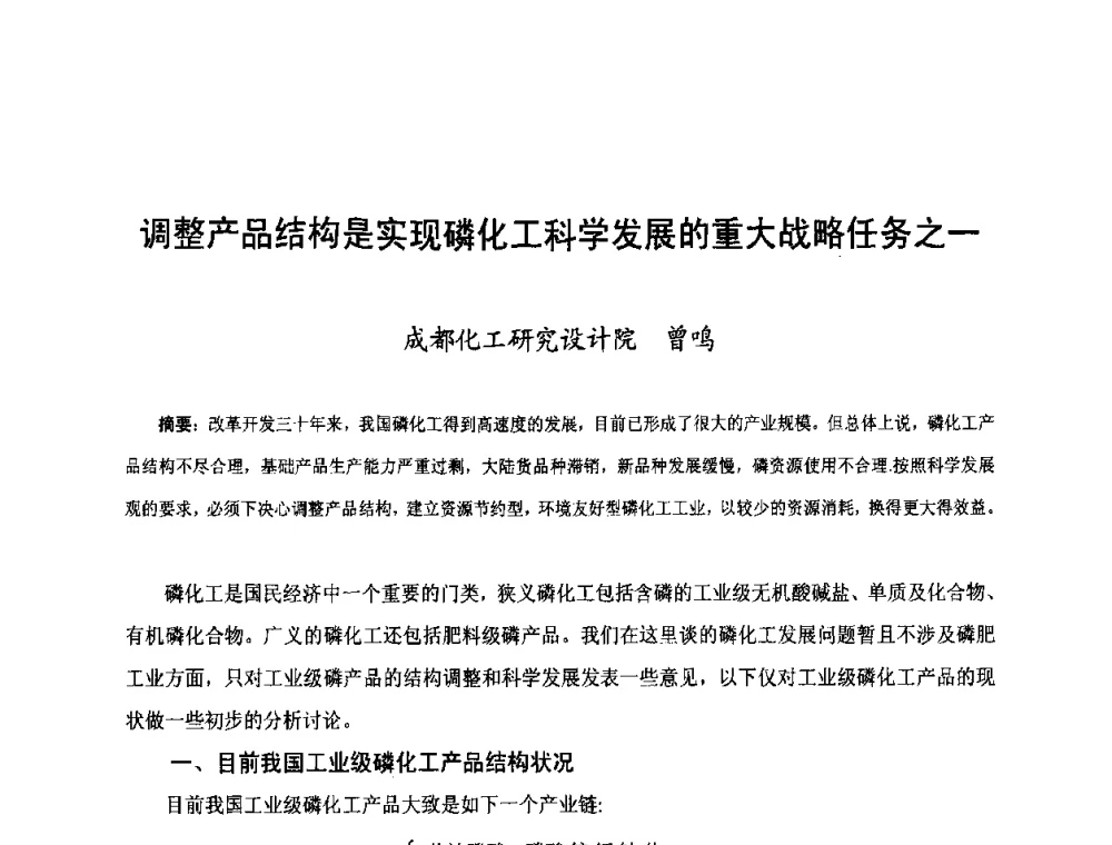 调整产品结构是实现磷化工科学发展的重大战略任务之一 - 第三届中国国际磷化工高峰论坛暨行业年会