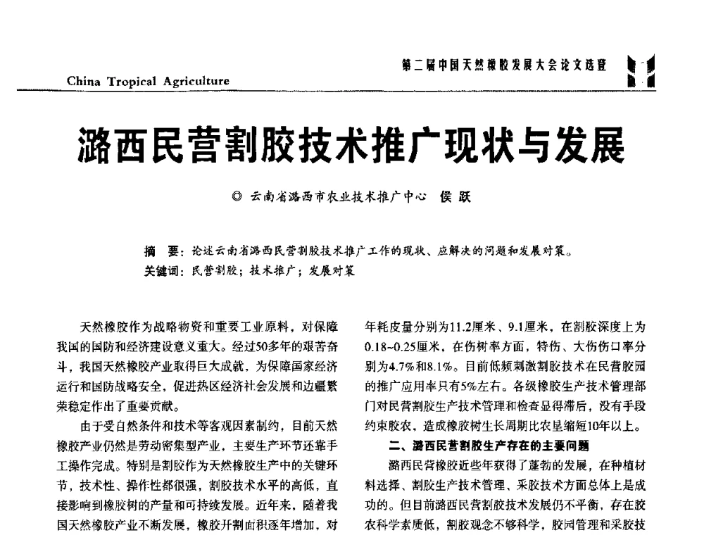 潞西民营割胶技术推广现状与发展 - 第二届中国天然橡胶发展大会