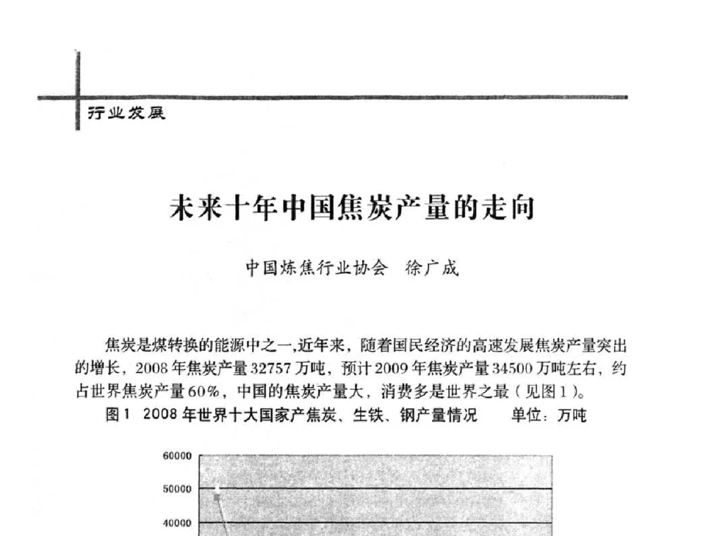 未来十年中国焦炭产量的走向 - 中国炼焦行业协会五届一次理事大会