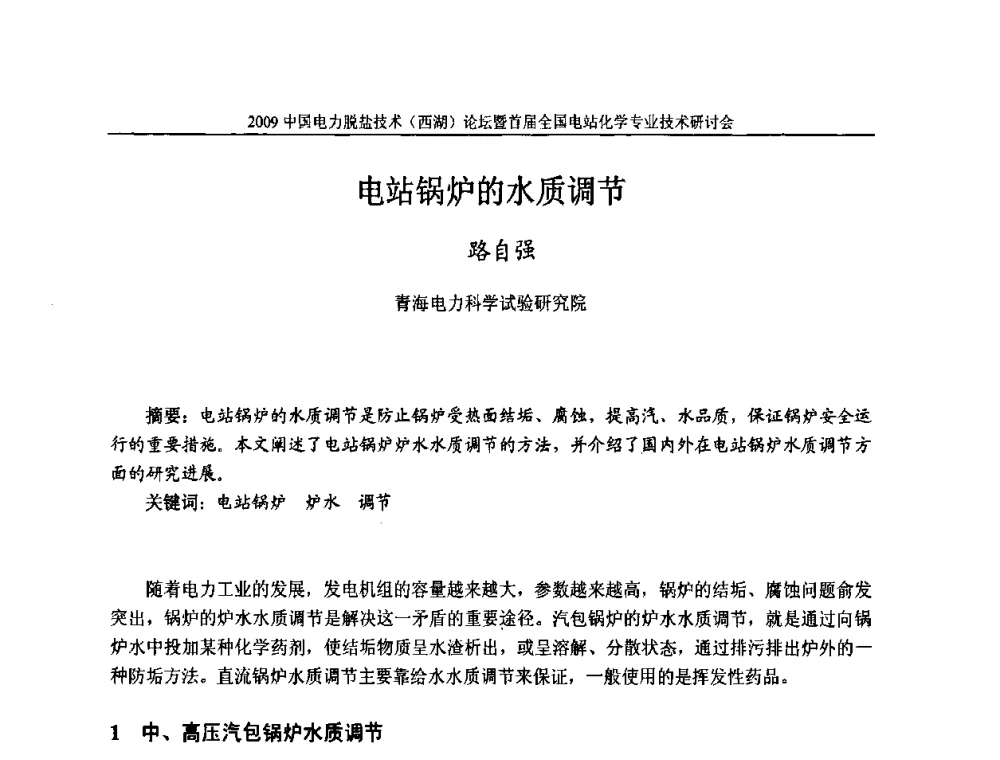 电站锅炉的水质调节 - 2009中国电力脱盐技术(西湖)论坛暨首届全国电站化学专业技术研讨会