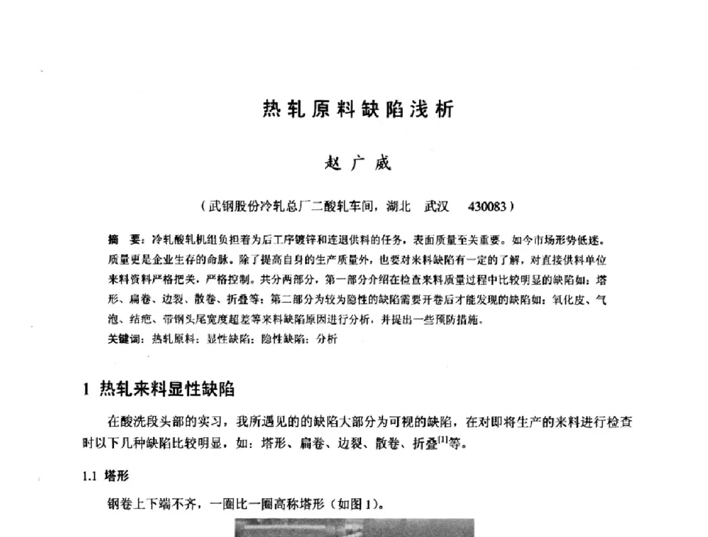 热轧原料缺陷浅析 - 2009年全国冷轧板带生产技术交流会