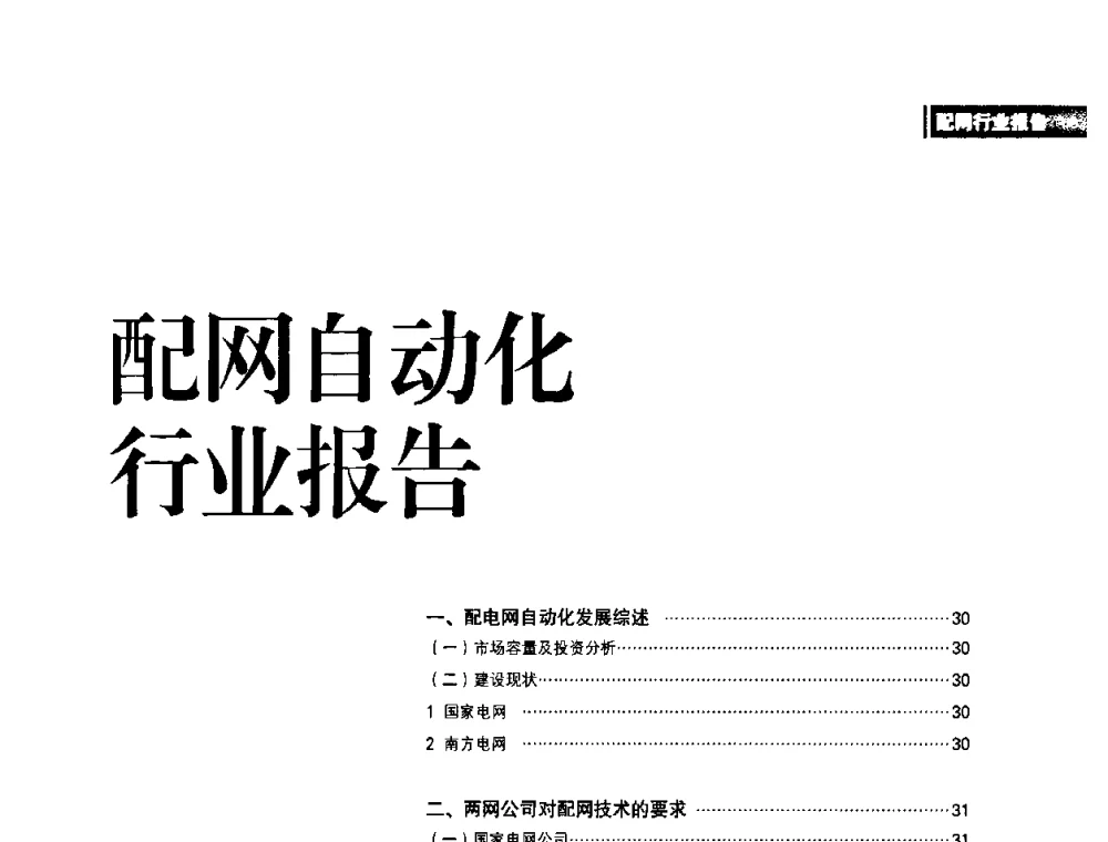 配网自动化行业报告 - 2010年配电自动化新技术及其应用高峰论坛
