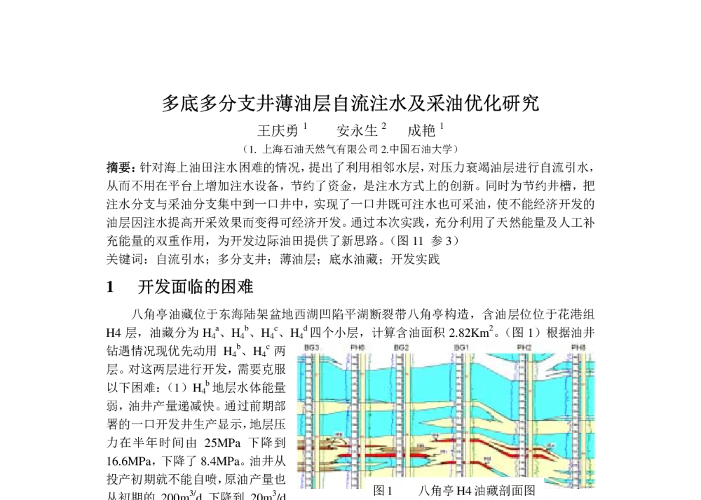 多底多分支井薄油层自流注水及采油优化研究 - 中国石油学会第六届青年学术年会