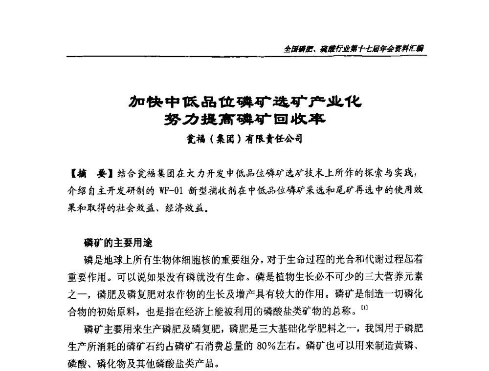 加快中低品位磷矿选矿产业化努力提高磷矿回收率 - 全国磷肥、硫酸行业第十七届年会
