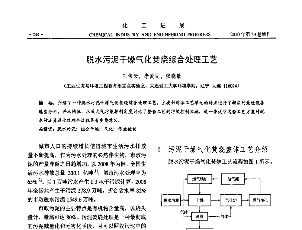 脱水污泥干燥气化焚烧综合处理工艺 - 中国化工学会2010年年会暨第二届石油补充与替代能源开发利用技术论坛