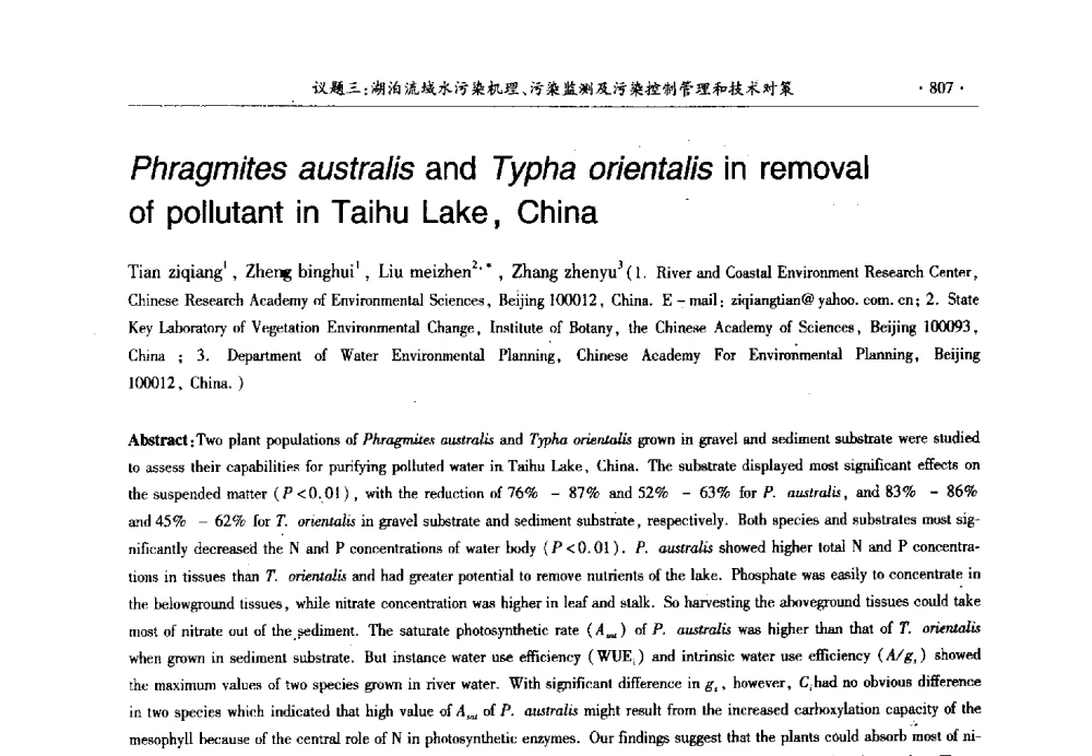 Phragmites australis and Typha orientalis in removal of pollutant in Taihu Lake_ China - 第十三届世界湖泊大会