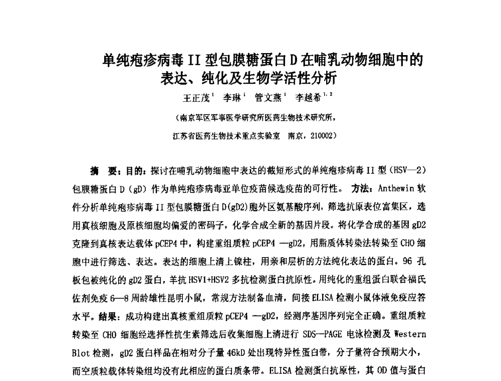 单纯疱疹病毒Ⅱ型包膜糖蛋白D在哺乳动物细胞中的表达、纯化及生物学活性分析 - 第六届长三角科技论坛生物产业发展分论坛