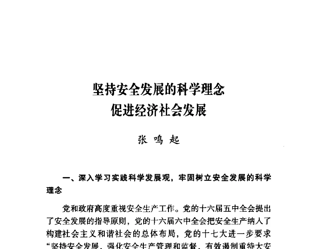 坚持安全发展的科学理念促进经济社会发展 - 第四届“安全发展”高层论坛