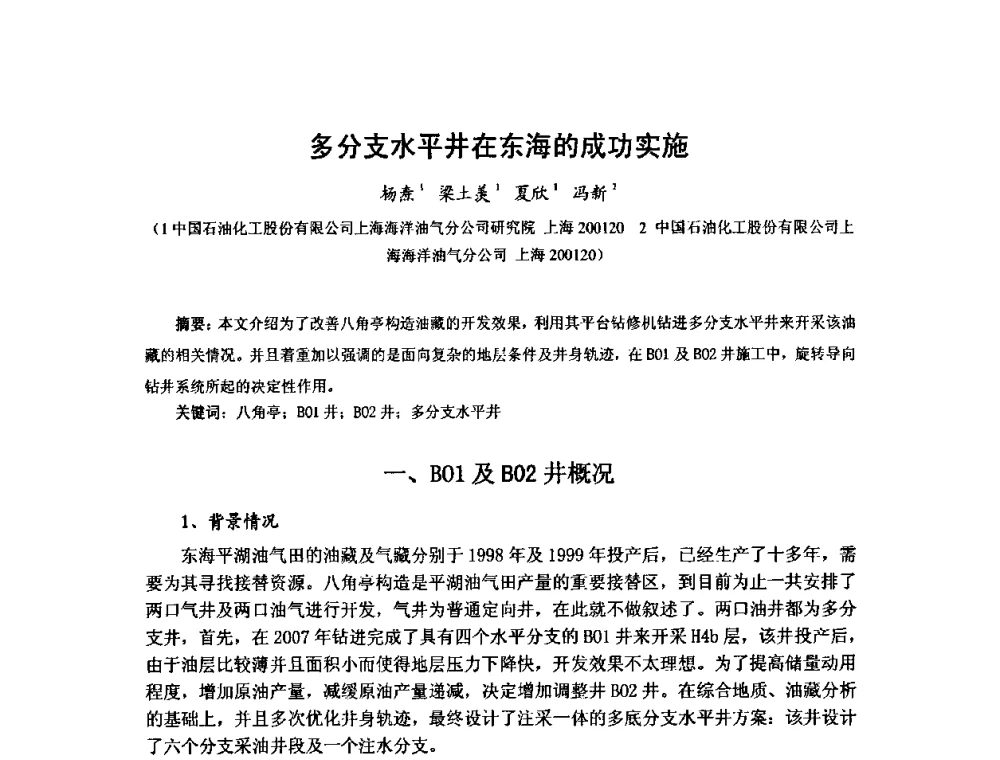 多分支水平井在东海的成功实施 - 第十届石油钻井院所长会议