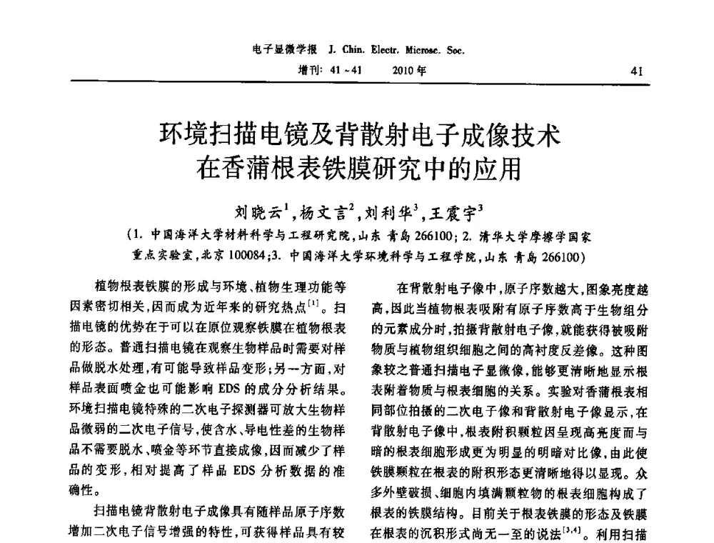 环境扫描电镜及背散射电子成像技术在香蒲根表铁膜研究中的应用 - 2010年全国电子显微学会议暨第八届海峡两岸电子显微学研讨会