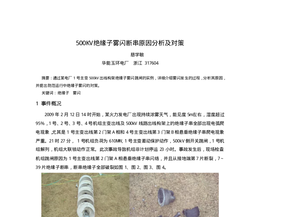 500KV绝缘子雾闪断串原因分析及对策 - 中国电机工程学会2010年发电厂电机技术交流研讨会