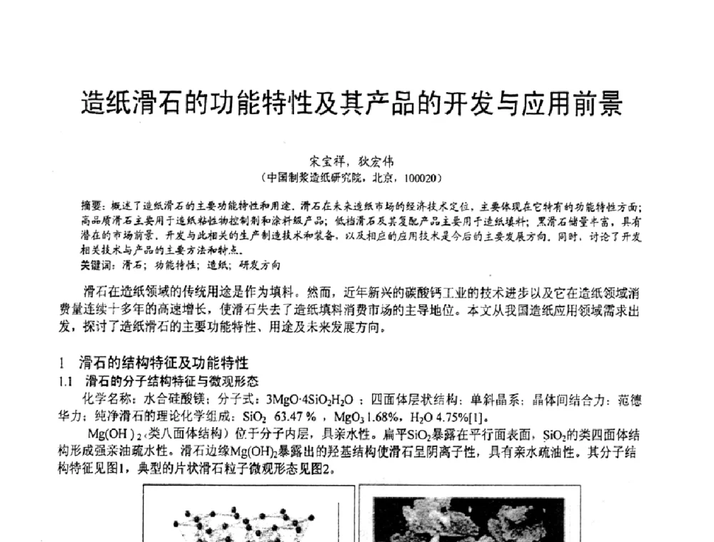造纸滑石的功能特性及其产品的开发与应用前景 - 第五届中国白色工业矿物技术与市场交流大会