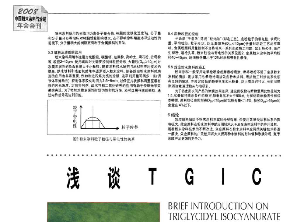 浅谈TGIC - 2008中国粉末涂料与涂装年会