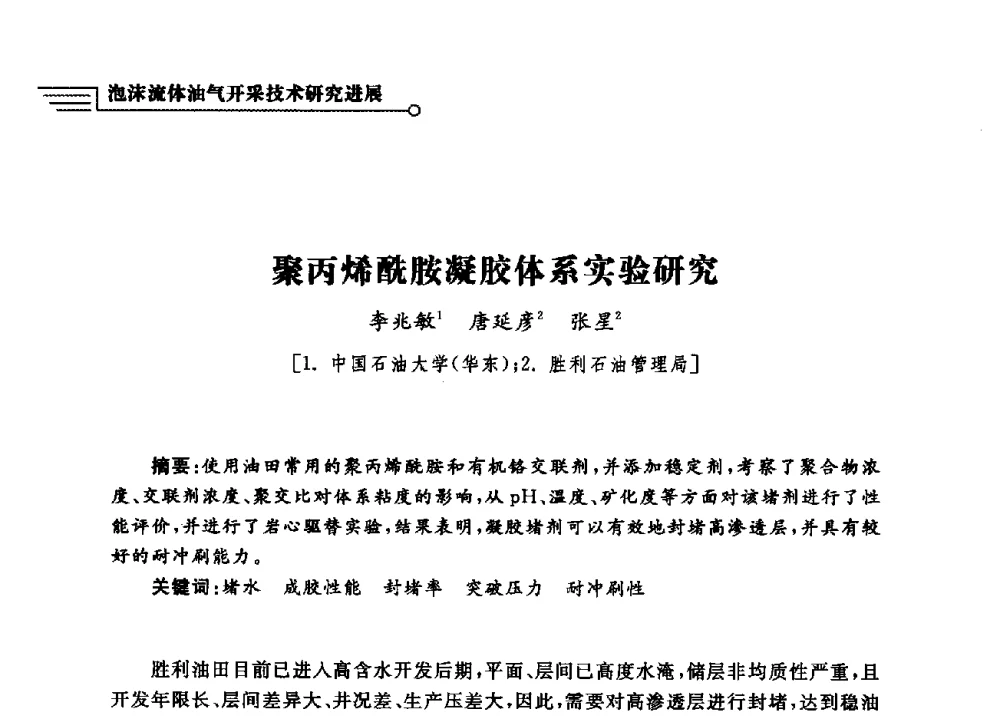聚丙烯酰胺凝胶体系实验研究 - 泡沫流体提高油气开采效率技术研讨会