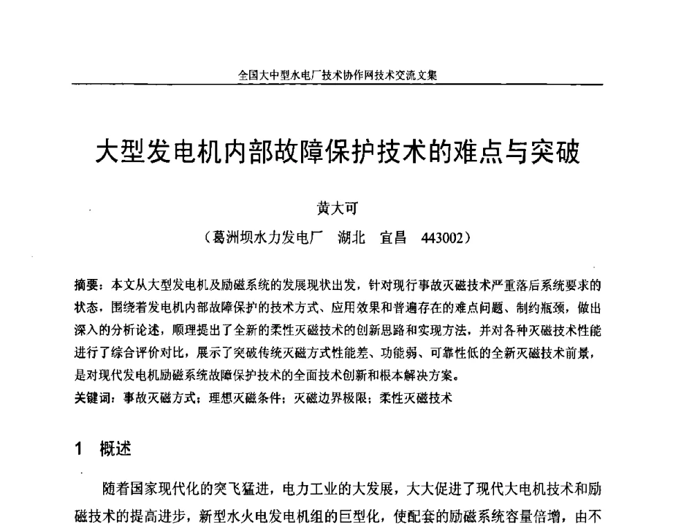 大型发电机内部故障保护技术的难点与突破 - 全国大中型水电厂技术协作网技术交流会