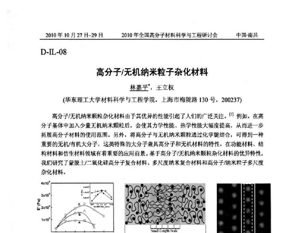 高分子_无机纳米粒子杂化材料 - 2010年全国高分子材料科学与工程研讨会