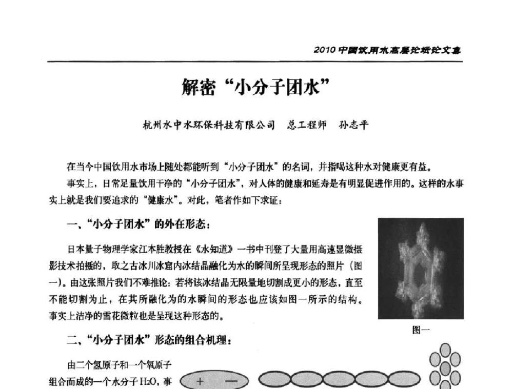 解密“小分子团水” - 2010年中国饮用水高层论坛