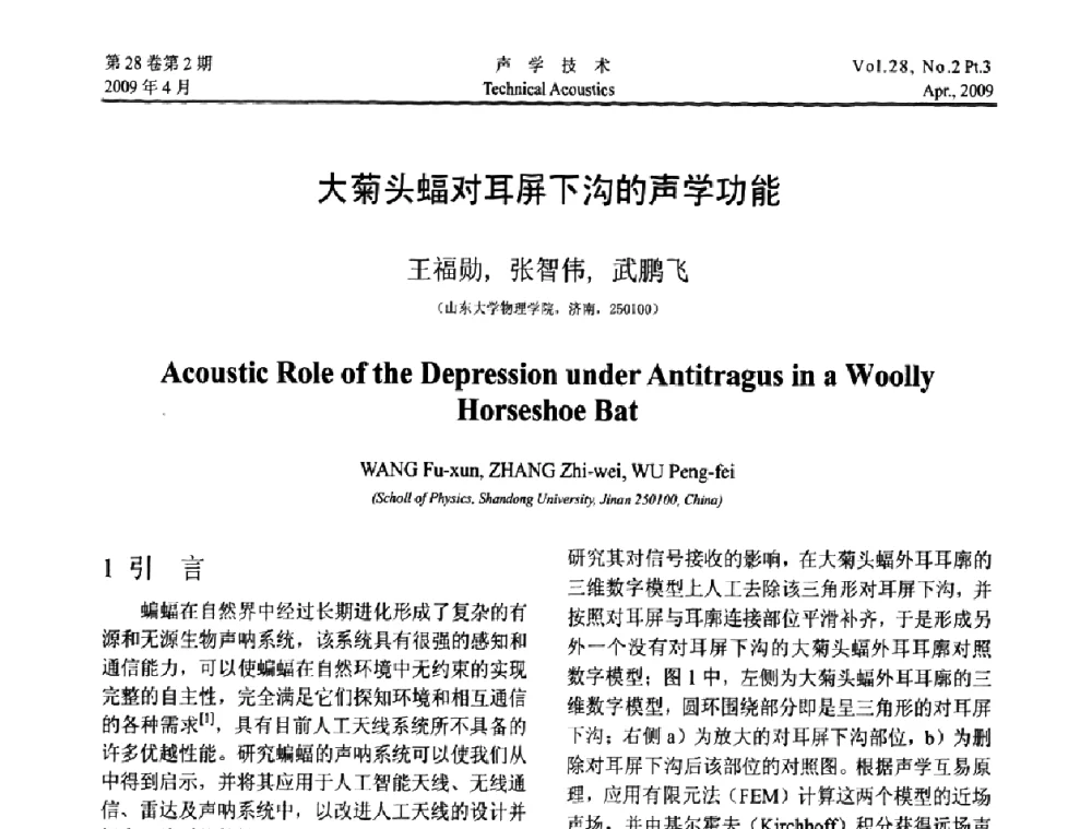 大菊头蝠对耳屏下沟的声学功能 - 2009年度全国物理声学会议