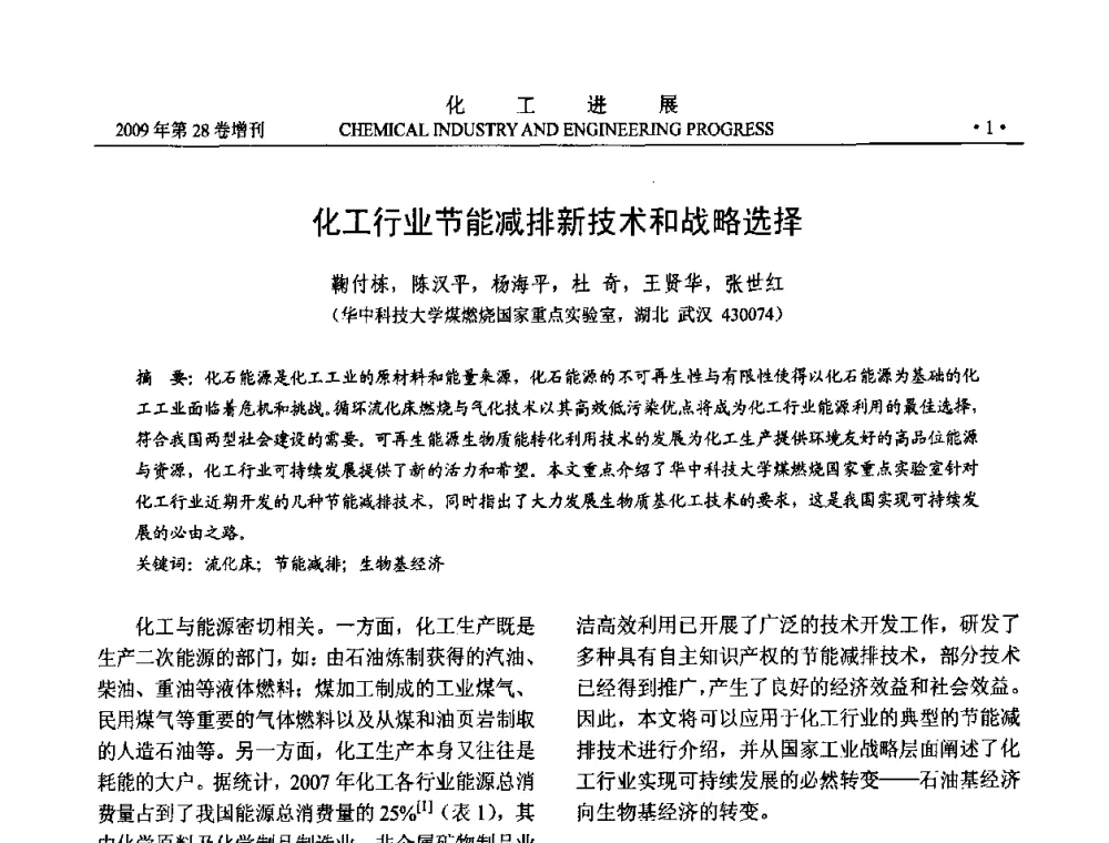 化工行业节能减排新技术和战略选择 - 中国化工学会2009年年会暨第三届全国石油和化工行业节能节水减排技术论坛