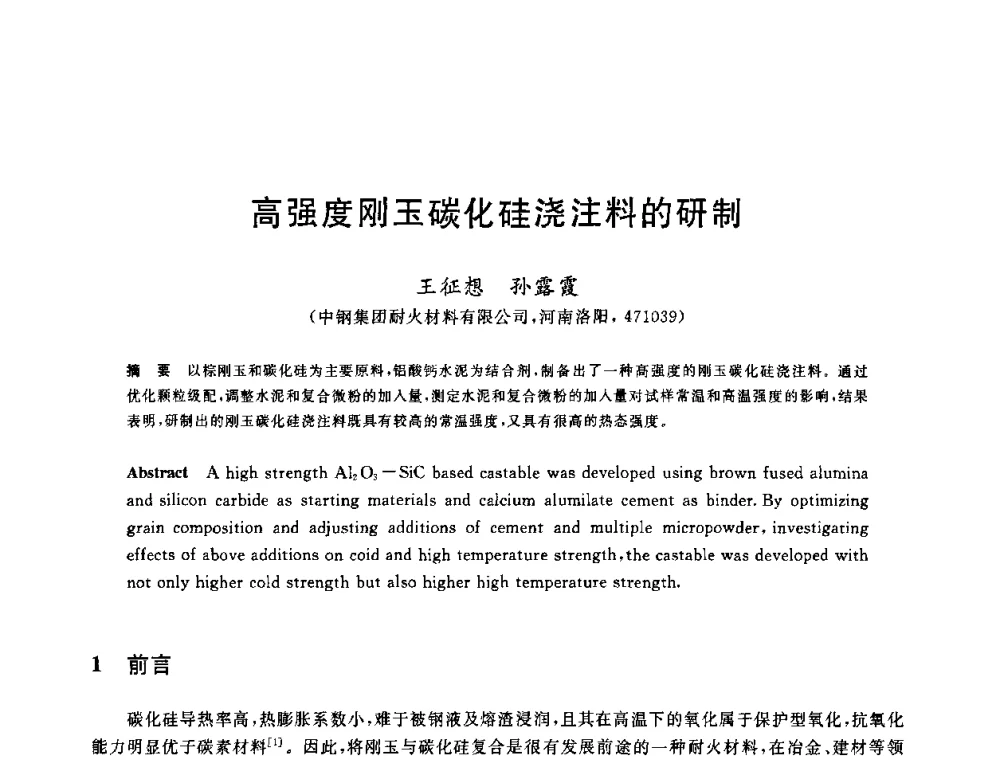 高强度刚玉碳化硅浇注料的研制 - 2010年全国炼钢-连铸生产技术会议