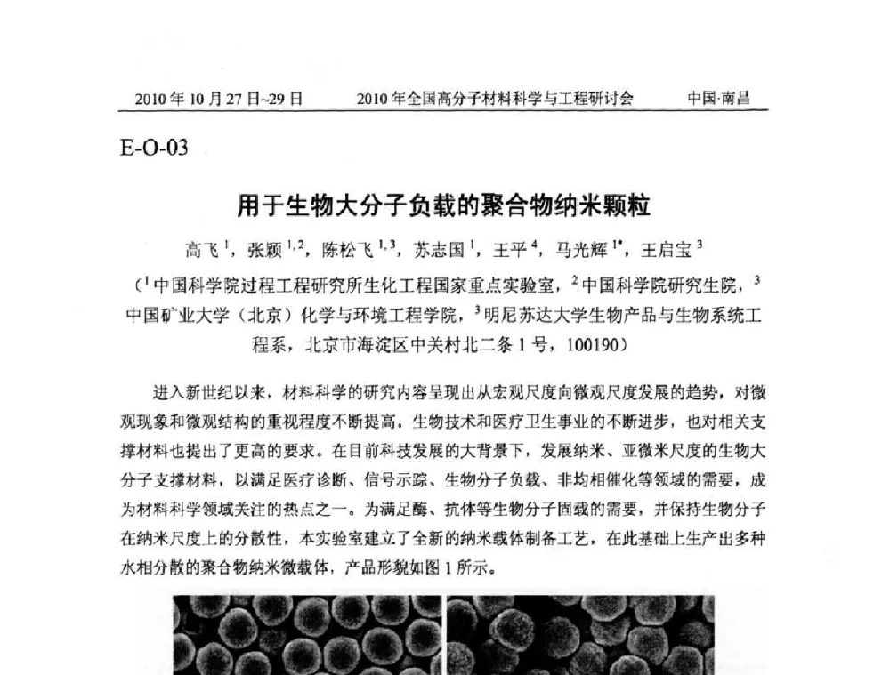 用于生物大分子负载的聚合物纳米颗粒 - 2010年全国高分子材料科学与工程研讨会