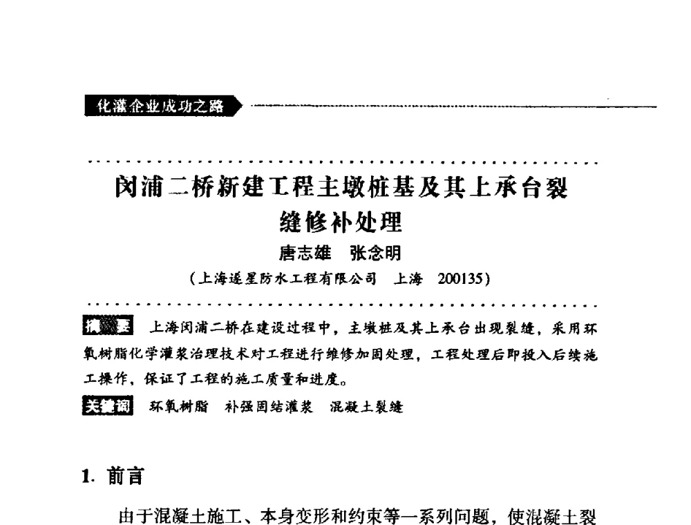 闵浦二桥新建工程主墩桩基及其上承台裂缝修补处理 - 第二届全国化学灌浆论坛