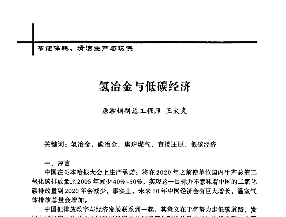 氢冶金与低碳经济 - 中国炼焦行业协会五届一次理事大会