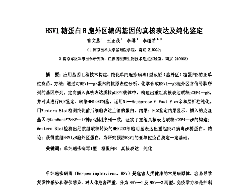 HSV1糖蛋白B胞外区编码基因的真核表达及纯化鉴定 - 第六届长三角科技论坛生物产业发展分论坛