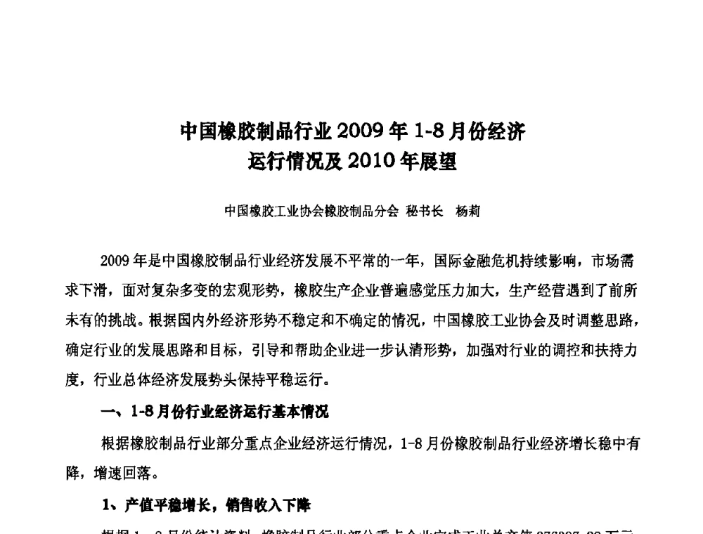中国橡胶制品行业2009年1—8月份经济运行情况及2010年展望 - 第十届全国橡胶工业信息发布会暨轮胎特保案继续应对研讨会