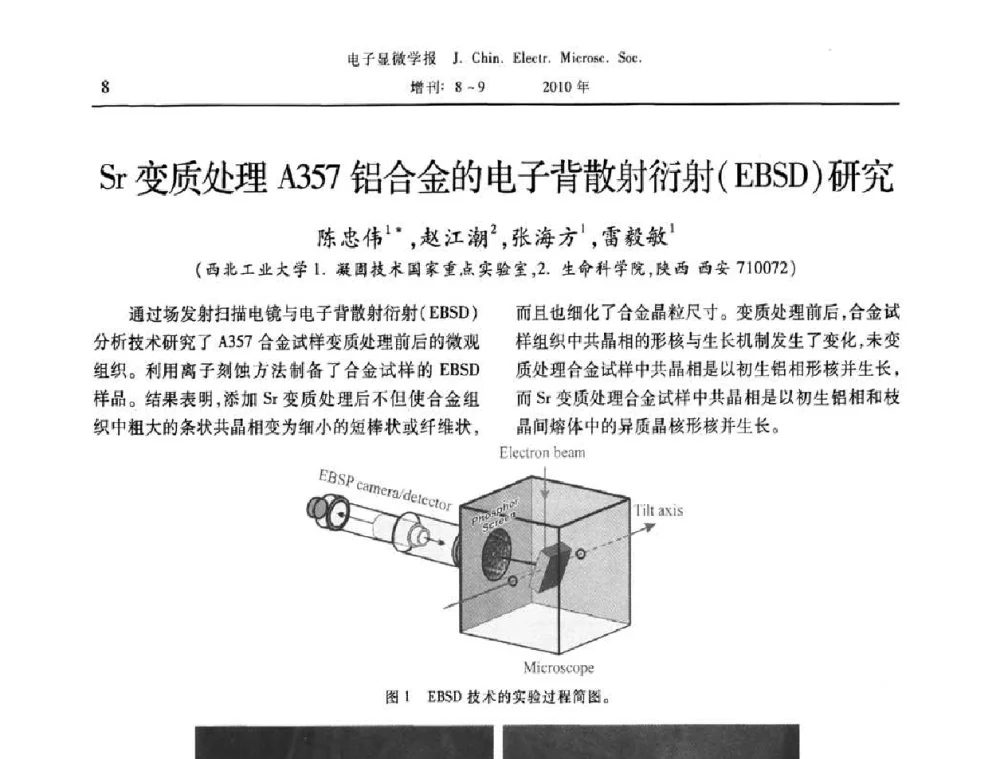 Sr变质处理A357铝合金的电子背散射衍射(EBSD)研究 - 2010年全国电子显微学会议暨第八届海峡两岸电子显微学研讨会