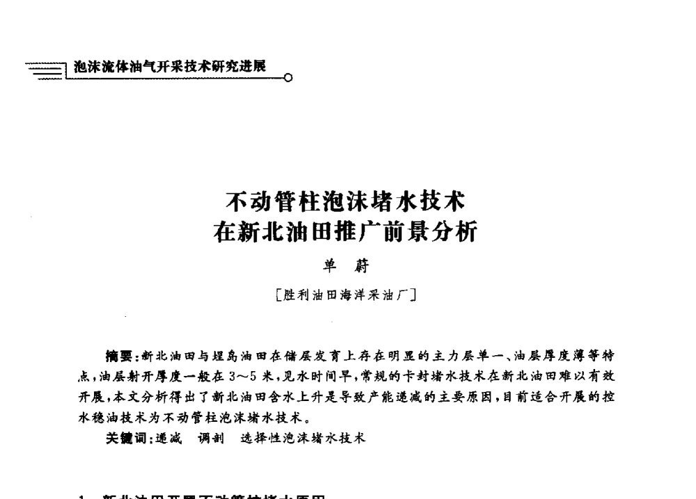 不动管柱泡沫堵水技术在新北油田推广前景分析 - 泡沫流体提高油气开采效率技术研讨会
