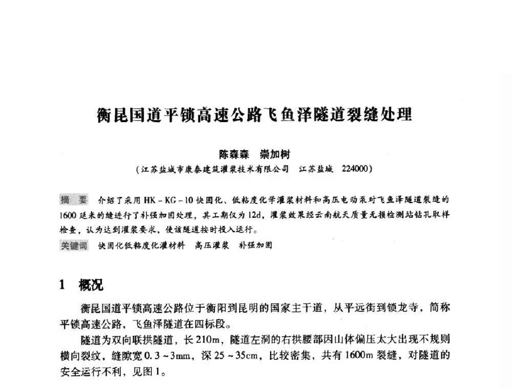 衡昆国道平锁高速公路飞鱼泽隧道裂缝处理 - 第12次全国化学灌浆学术交流会